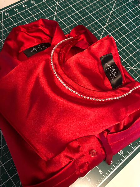 The “SATIN DREAMS” Shirt Dress with Matching "PRINCESS CUT" Under Bust Corset